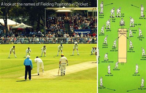 Cricket Terminology - Fielding Positions - SportsUnfold