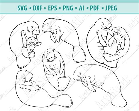 Manatee Svg Bundle Family Manatee Svg Ocean Creatures Svg - Etsy ...