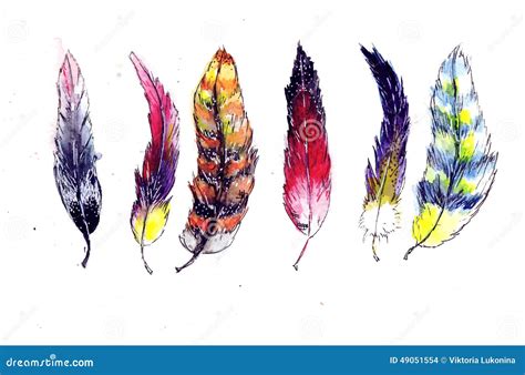 Watercolor feather stock illustration. Illustration of beautiful - 49051554