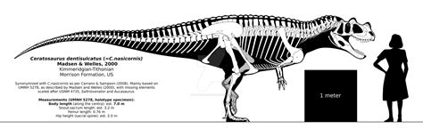 Ceratosaurus skeletal | Fandom