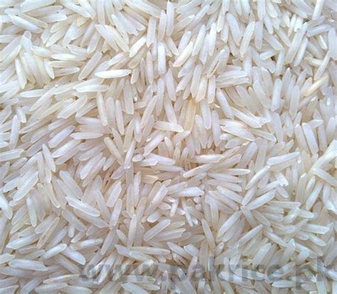 Falak Rice - 1121 Steam Basmati | 1121 Sella Parboiled Rice - Welcome