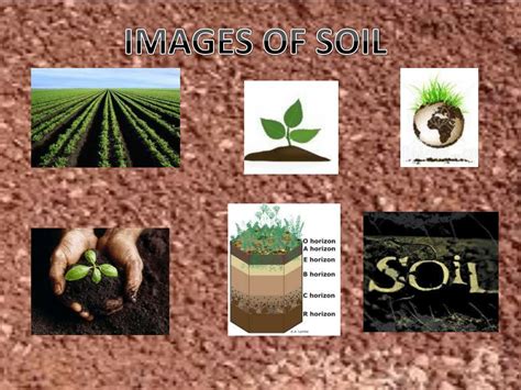 PPT - NATURAL RESOURCES SOIL RESOURCES PowerPoint Presentation, free download - ID:2135876