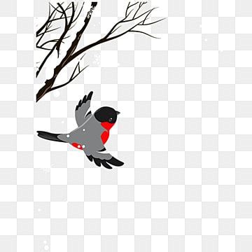 Snow Bird Clipart Images | Free Download | PNG Transparent Background - Pngtree