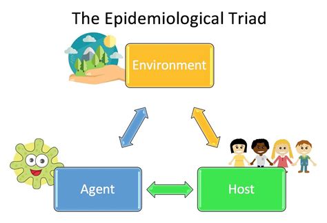 Chapter 12: The Epidemiological Triad | Models and Mechanisms of Public Health