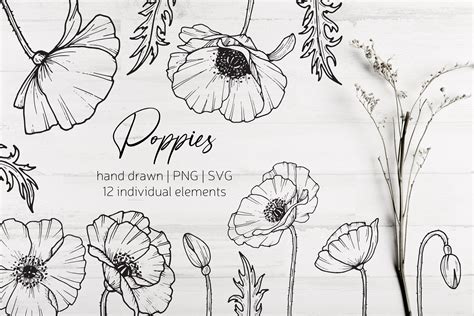 Hand Drawn Poppy Flowers SVG - Design Cuts