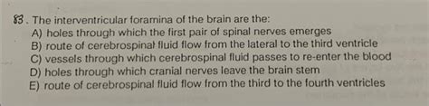 Solved 83. The interventricular foramina of the brain are | Chegg.com