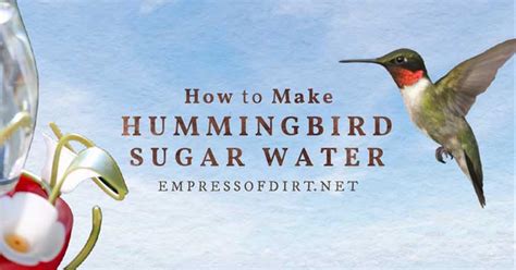 How to Make Hummingbird Food (Sugar Water Recipe)