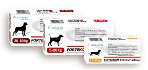 Fortekor Tablets for 🐱 Cats & 🐶 Dogs - VioVet