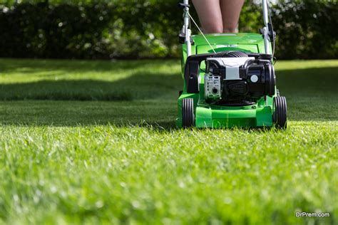 Improve Your Lawn Maintenance by Selecting the Right Lawn Mower - Ecofriend