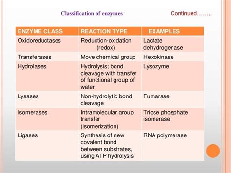 Enzymes Biochemistry