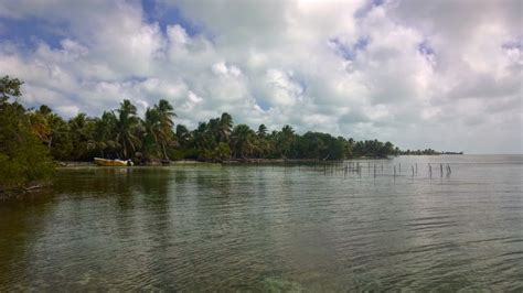 Life Stories of a Meandering Fool: Blackadore Caye, and an Un-Belize-Able Biological Process