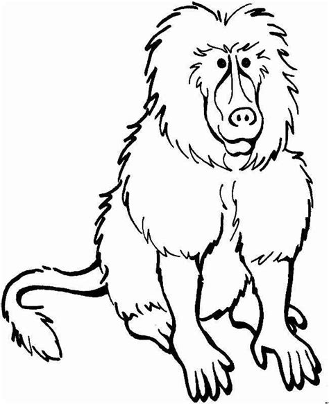 Baboon coloring page free and online coloring