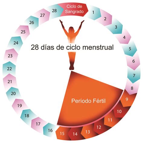 Ovulación y fertilidad, El Siglo de Torreón