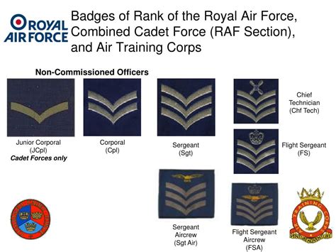 PPT - British Armed Forces Badges of Rank ( including those unique to cadet forces) PowerPoint ...