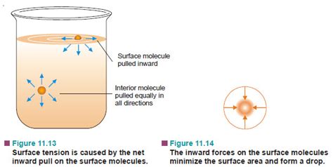 Determination of Surface Tension | Read Chemistry