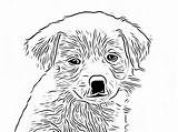 Boston Terrier Coloring Pages Printable A Fun Activity For Dog Lovers sketch template