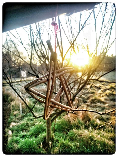 Pruning willow | Inspired Forest School Training