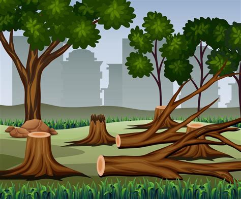 Tree trunk was cut with many trees on the forest background 5952036 ...