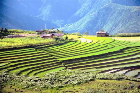 Geography Of Bhutan: National Geographic Tapestry 2024 Magnificent ...