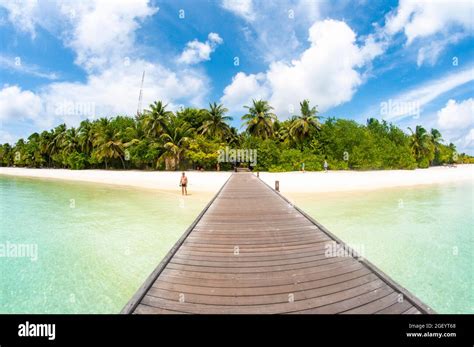 Nice white beach in island Maldives Stock Photo - Alamy