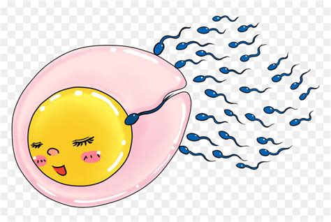 Sperm And Egg Clip Art, HD Png Download - vhv