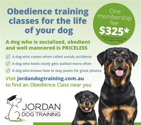 Accredited Dog Obedience Training In Brisbane| Jordan Dog Training