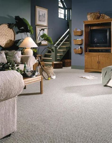 Berber: A Great Carpet for Kids & Pets - Aqualux Carpet CleaningAqualux ...