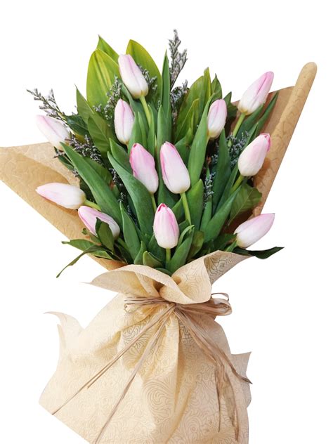 Tulip Bouquet | Floressence Florist Northbridge