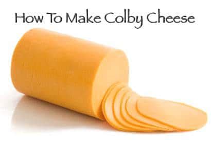 Homemade Colby Cheese Recipe - Homestead & Survival