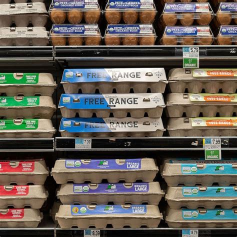 Some cheaper egg alternatives may be healthy but don't match an egg's nutritional value - ABC News