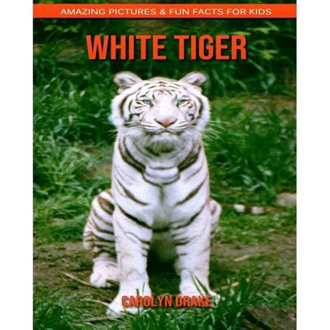 White Tiger : Amazing Pictures & Fun Facts for Kids - Walmart.com ...