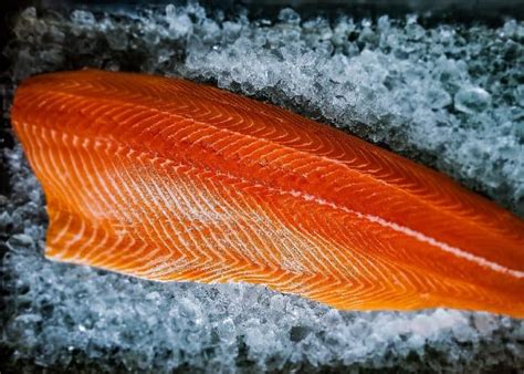 3.5lb Wild King Salmon Fillets | Lummi Island Wild