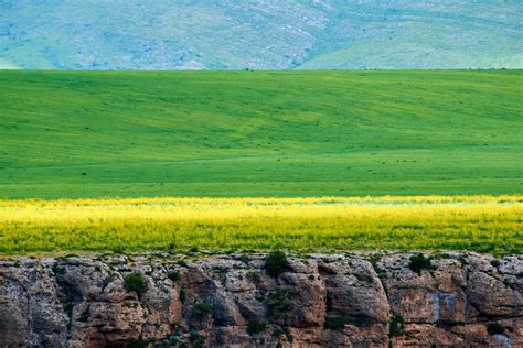 Aksu-Zhabagly Nature Reserve, Kazakhstan