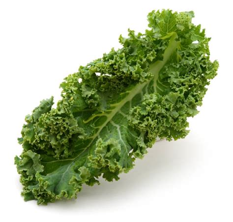 Top 60 Kale Leaf Stock Photos, Pictures, and Images - iStock