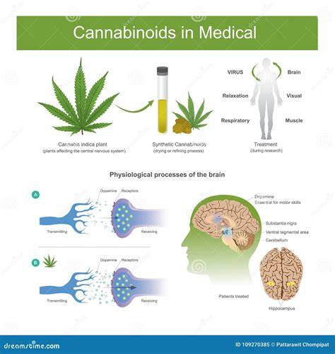 Research Has Found that Cannabis Indica Plant Can Have the Following ...