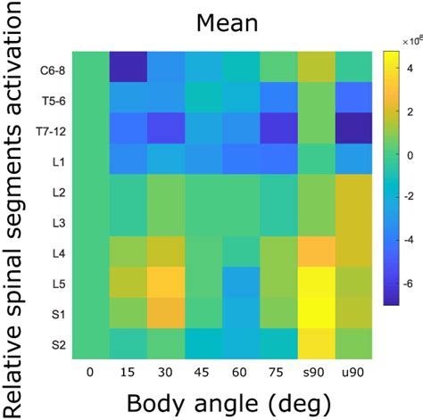 Journal of Anatomy: Vol 242, No 5