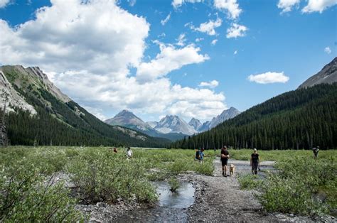 Hiking in Alberta: 18 of the Best Day Hikes | Hike Bike Travel