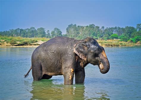 Chitwan National Park Hotels | Trailfinders