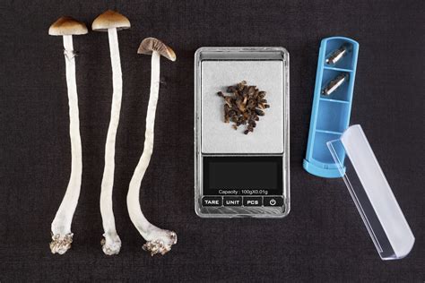 Testimony: Psilocybin services rules in Oregon