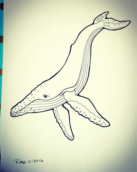 Humpback Whale Sketch at PaintingValley.com | Explore collection of ...