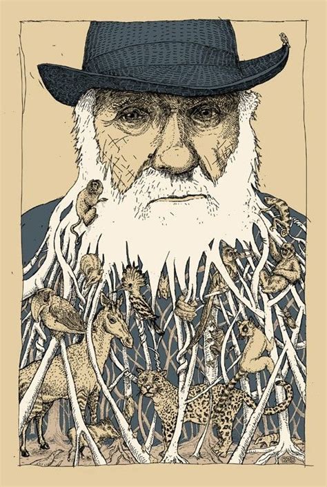 love for darwin, and his fancy beard. | Beard art, Character illustration, Illustration