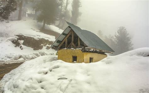 Snow fall in gulmarg stock photo. Image of asia, gulmarg - 39494524