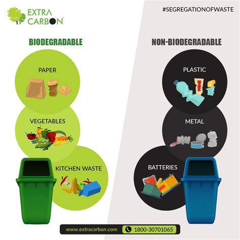 Understanding Biodegradable Waste: A Comprehensive Guide | Shapiro