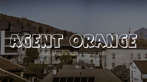 Agent Orange Font : Download Free for Desktop & Webfont