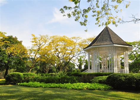 The ultimate guide to Singapore Botanic Gardens | Honeycombers