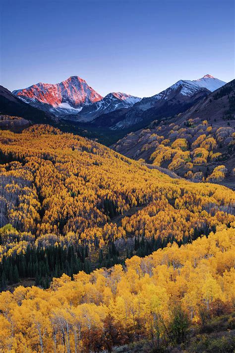 Capitol Peak With Fall Colors Photograph by Piriya Photography | Fine Art America