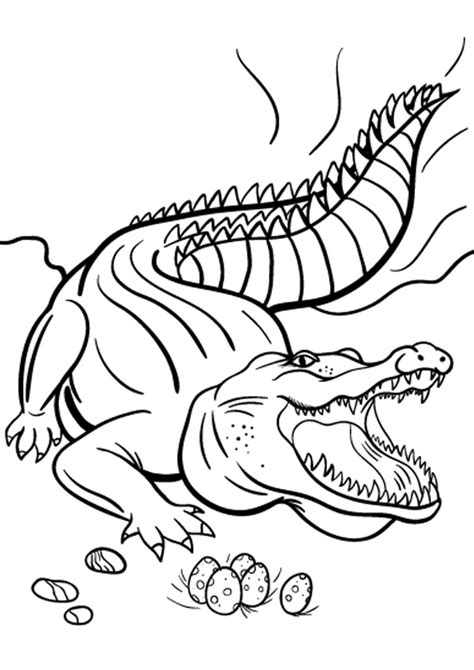 Coloring Pages | Free Crocodile Coloring Page for kids