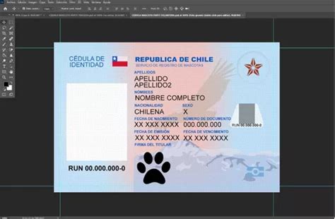 Cedula Identidad Mascota 100% Editable En Photoshop | Cuotas sin interés