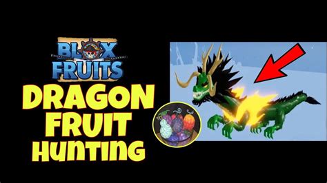 Dragon Fruit Blox Fruit - Tere Fruit