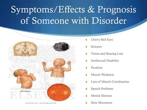 PPT - Tay -Sachs Disease PowerPoint Presentation, free download - ID ...